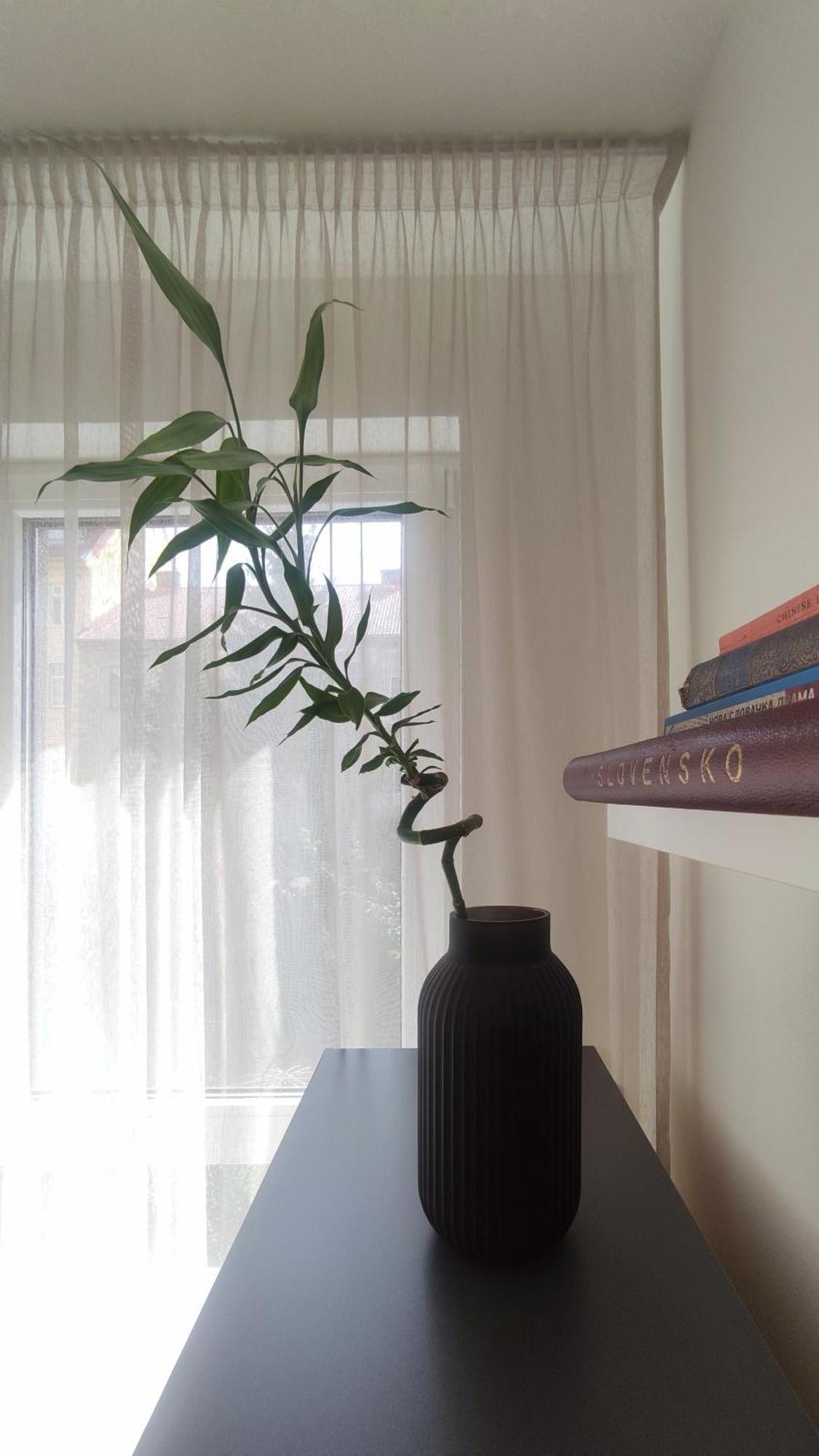 Elegant Escape Apartment II - City Centre Bratislava Extérieur photo